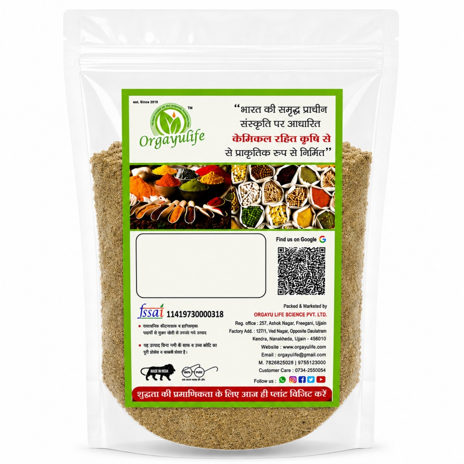 Organic Coriander Powder